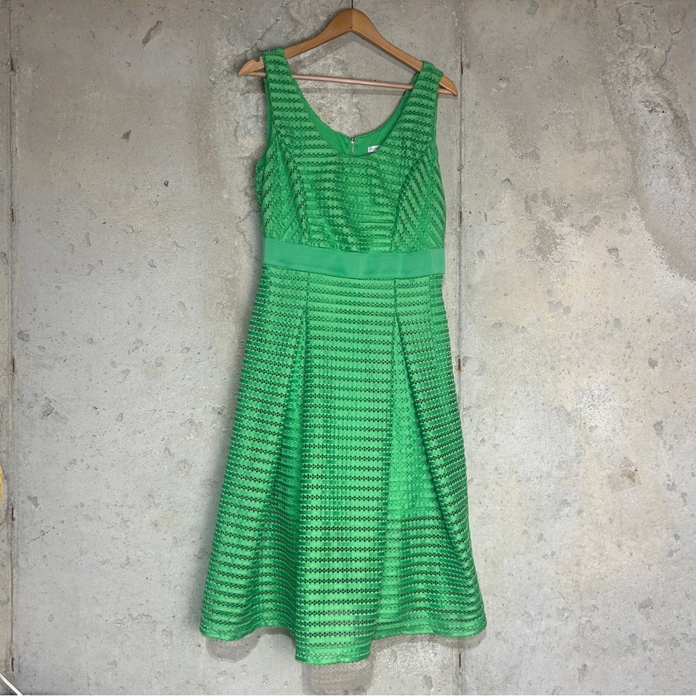 New York & Company, Kelly Green sleeveless fit and flare striped lace dress 14